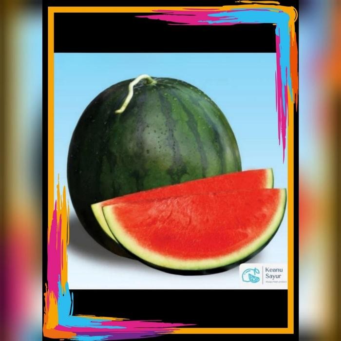 

NewZbgt- semangka merah non biji berat 3-4kg