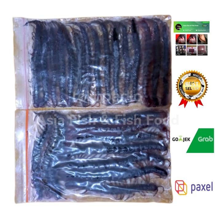 Kelabang Beku Lipan Beku