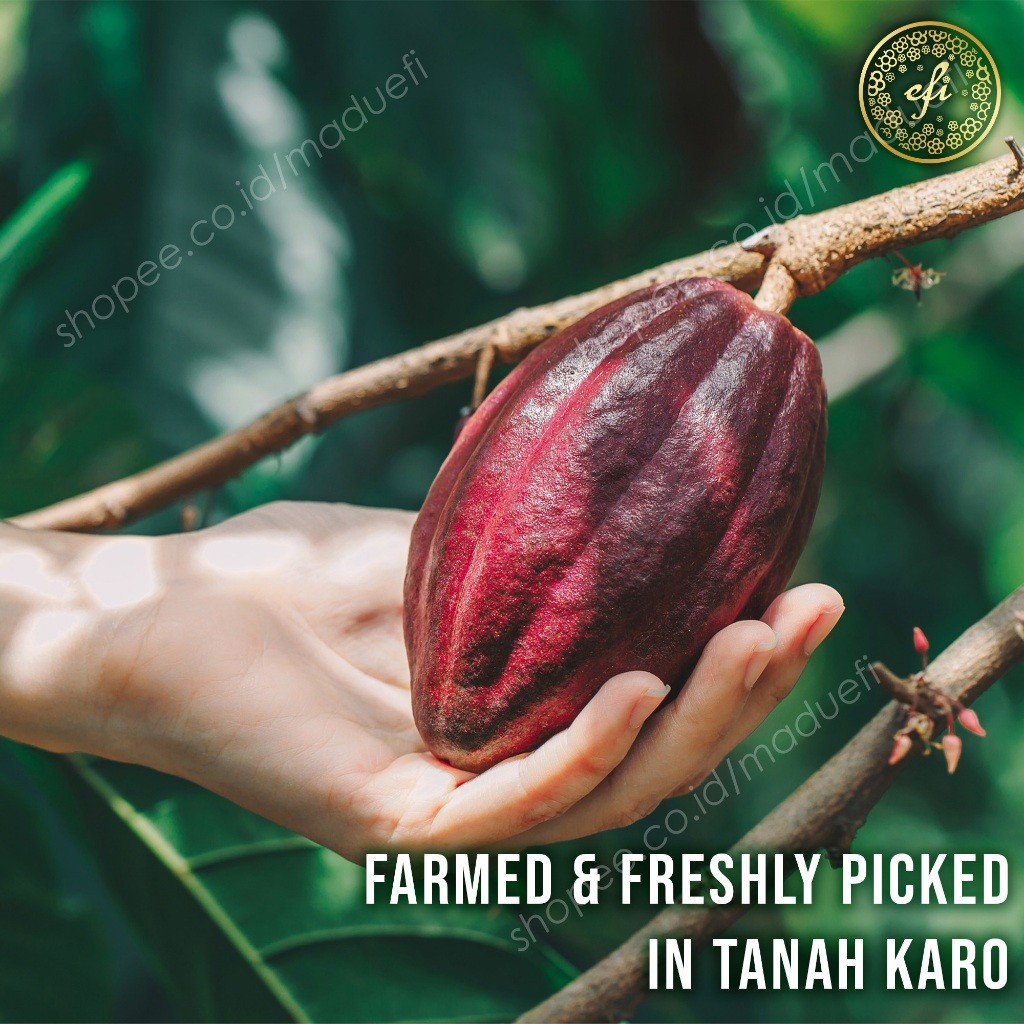 

Healthy Chocolate Efi 100% Premium Real Cocoa Bean Coklat Efi by Prof Felix PhD - Kebun Efi