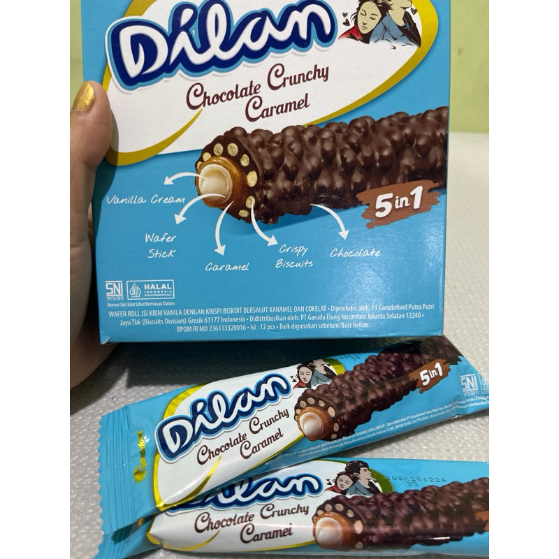 

Dilan Coklat Crunchy isi 12 pcs