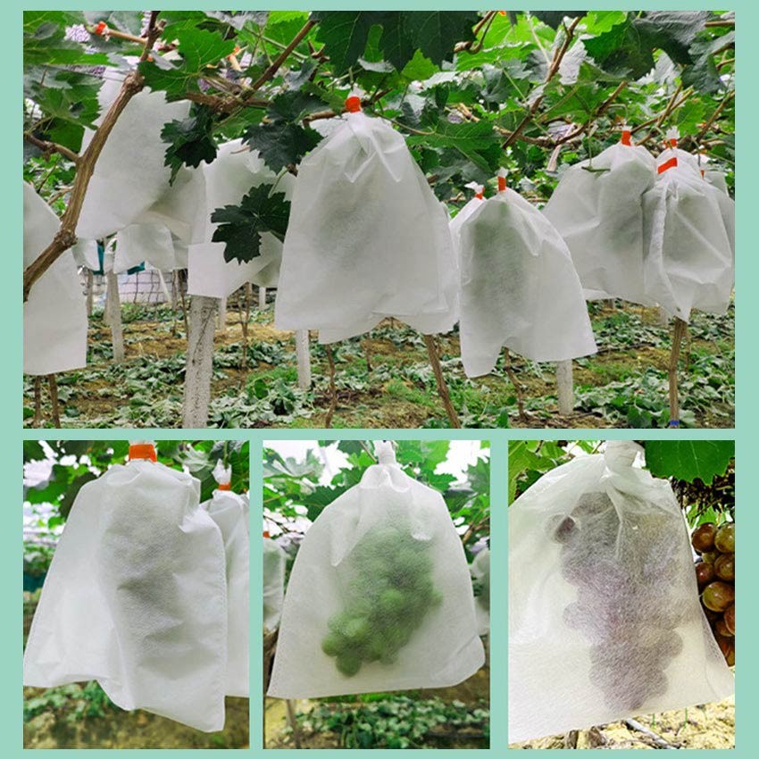 Satu Klik Aja - 100Pcs Pembungkus Buah 25 X 32 Pandang Fruit Cover Anggur Kelengkeng Waterproof Easy