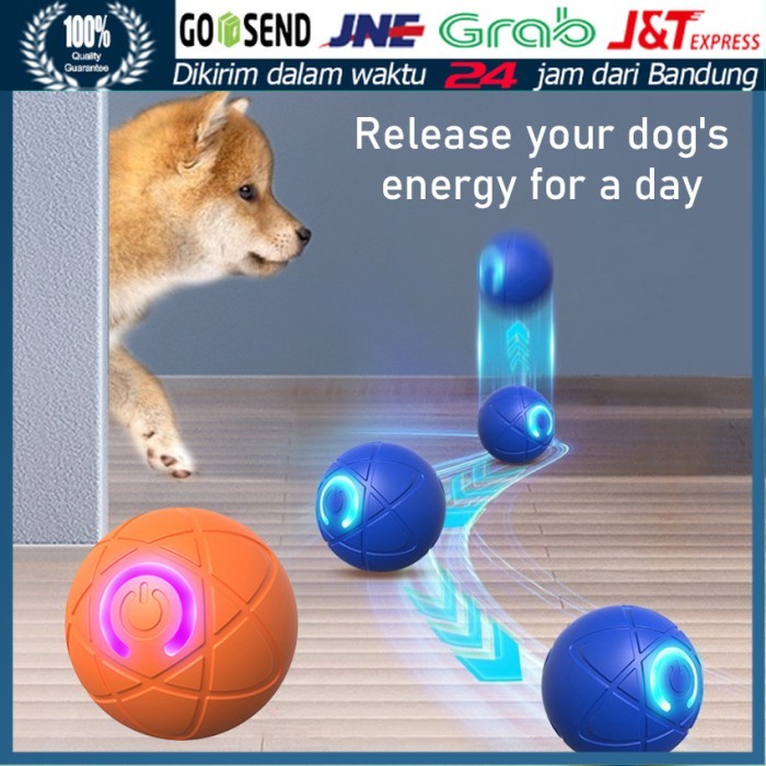 Mainan Anjing Kucing Bola Otomatis Bisa Jalan Putar Pet Cat Dog Ball Ngecas Gerak Gulir Sendiri Cat