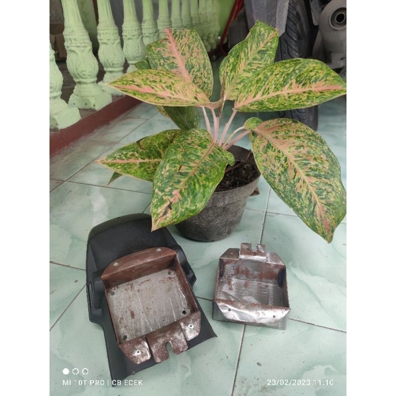 PANGKON DUDUKAN AKI GLPRO GL PRO MAX GLMAX NGANJUK SLEBOR SET PANGKON AKI GL MAX PRO