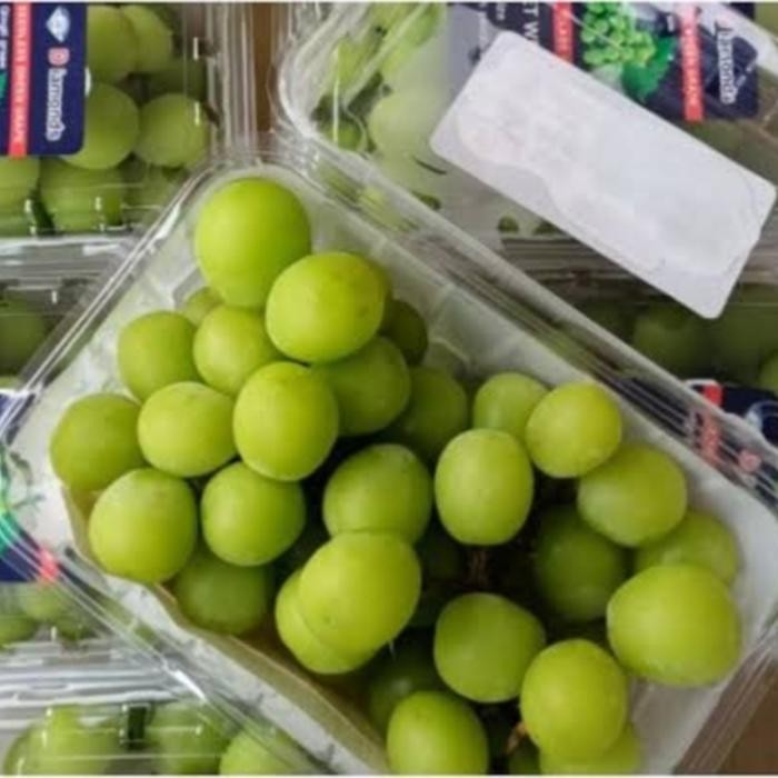 

InstanTanyadulu- Buah Anggur Hijau Shine Muscat Tanpa Biji Grapes Import Seedless Baru Fresh Promo