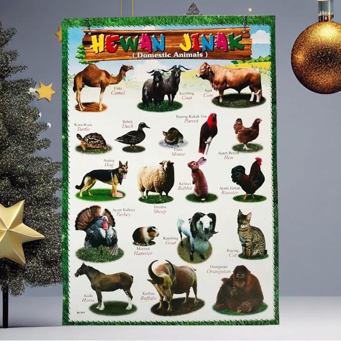 

ID PAKET 6LEMBAR POSTER EDUKASI ANAK PAUD DAN TK - HURUF, ANGKA, HEWAN, BUAH, HIJAIYAH, TRANSPORTASI