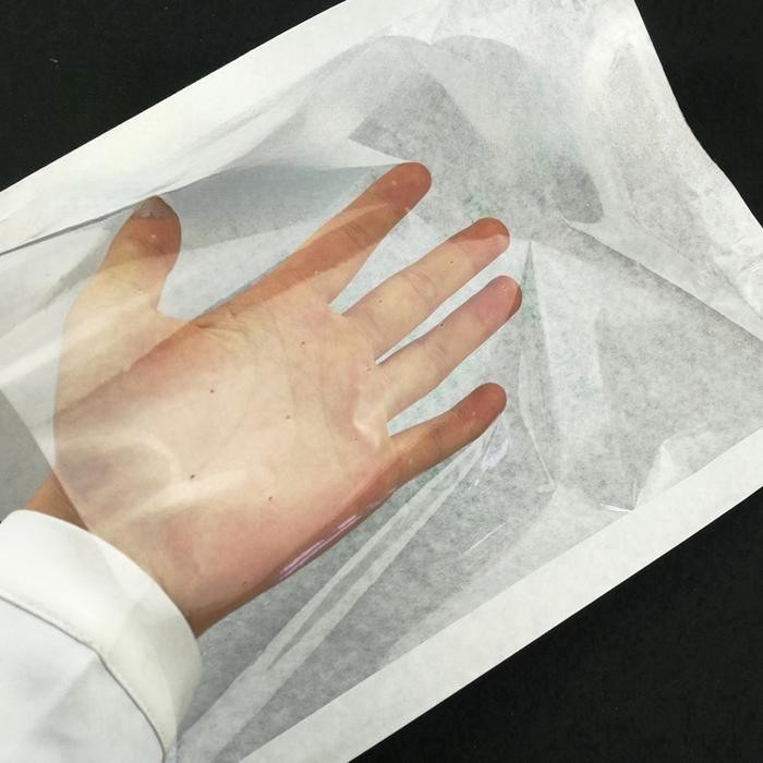 Thinkerbelllll Fruit Cover Transparan/Pembungkus Buah Tembus Pandang Fruit Cover