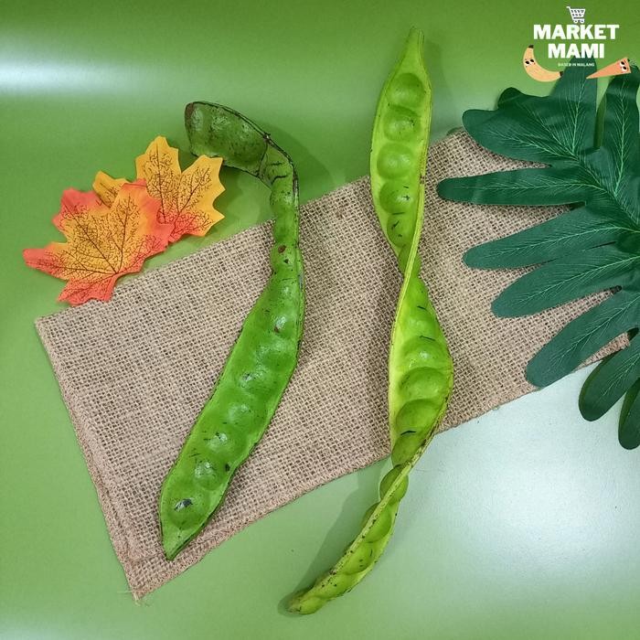 

PETE PETAI 1 LONJOR *