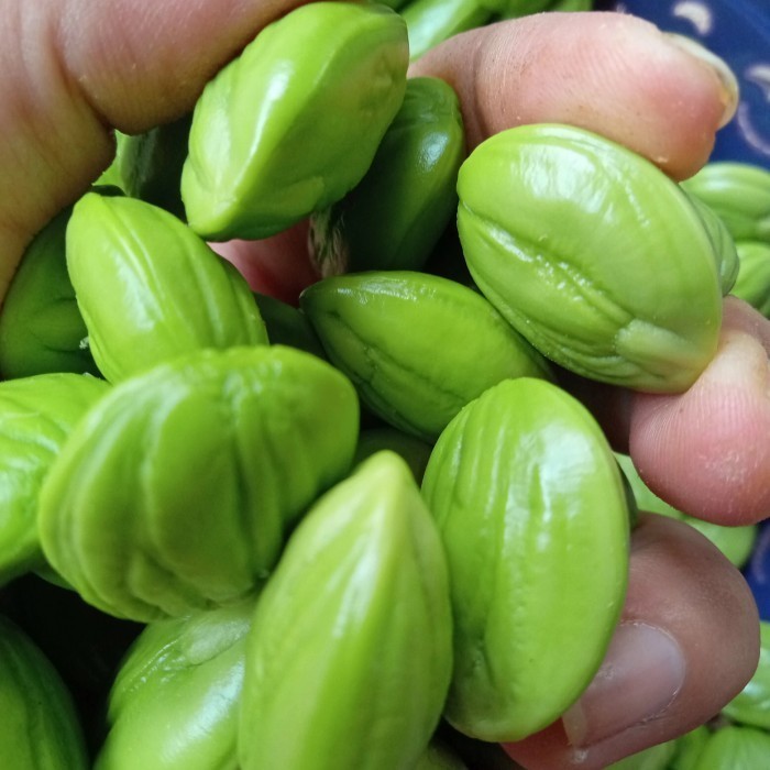 

pete petai kupas super berkuwalitas 1 kg *