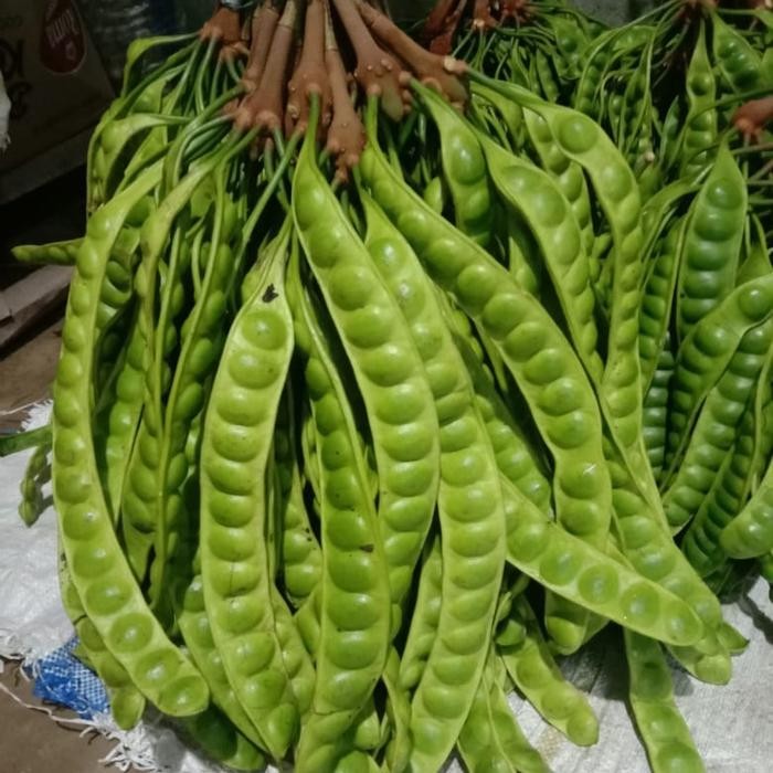 

petai pete tua super 3 papan *