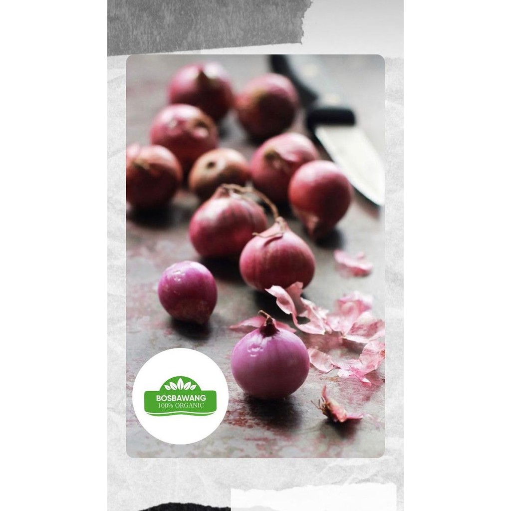 

TodayFre3sH- BAWANG MERAH INDIA FRESH 1KG