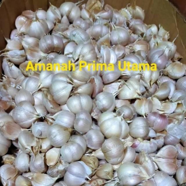 

TodayFre3sH- Bawang putih kating 1 kilogram