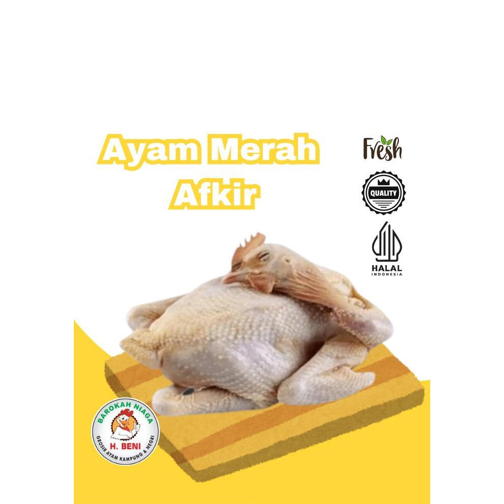 

BeliSkrg,KirimHariini- AYAM MERAH AYAM TUA COCOK UNTUK SOTO / REQUES LANGSUNG CHAT