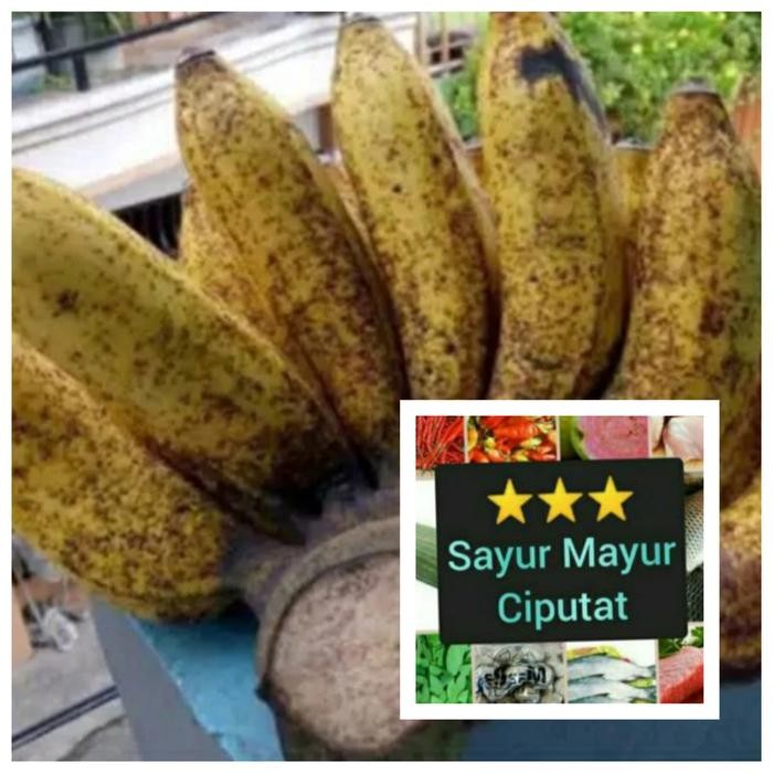

PastikanDikirimLgsg- pisang raja sereh 1 sisir