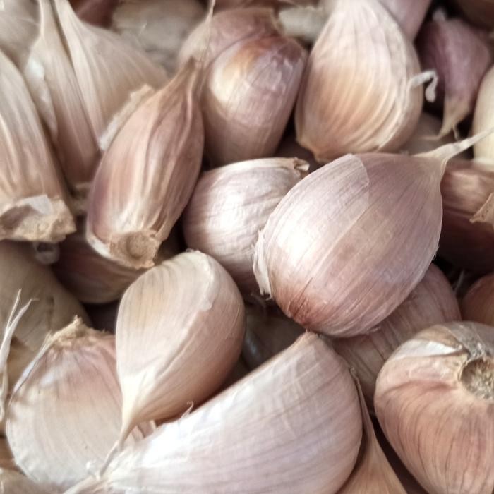 

New bawang putih kating 1kg