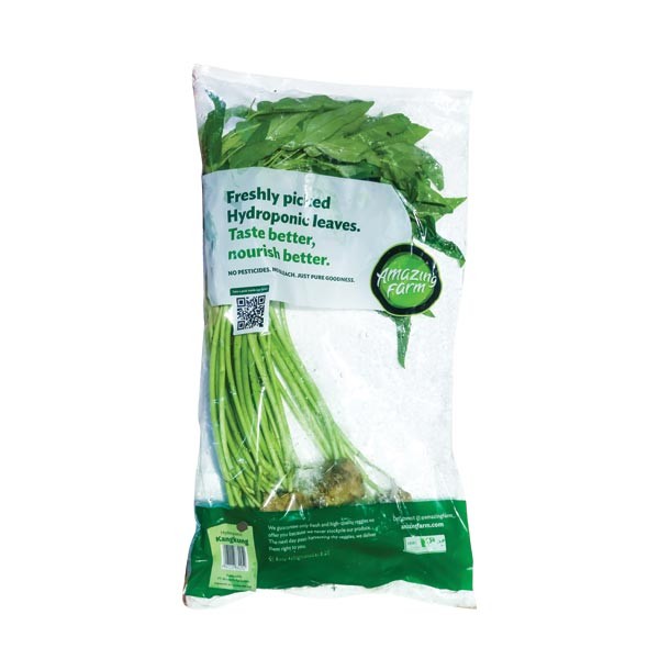 

AMAZING FARM KANGKUNG HYDROPONIK PACK