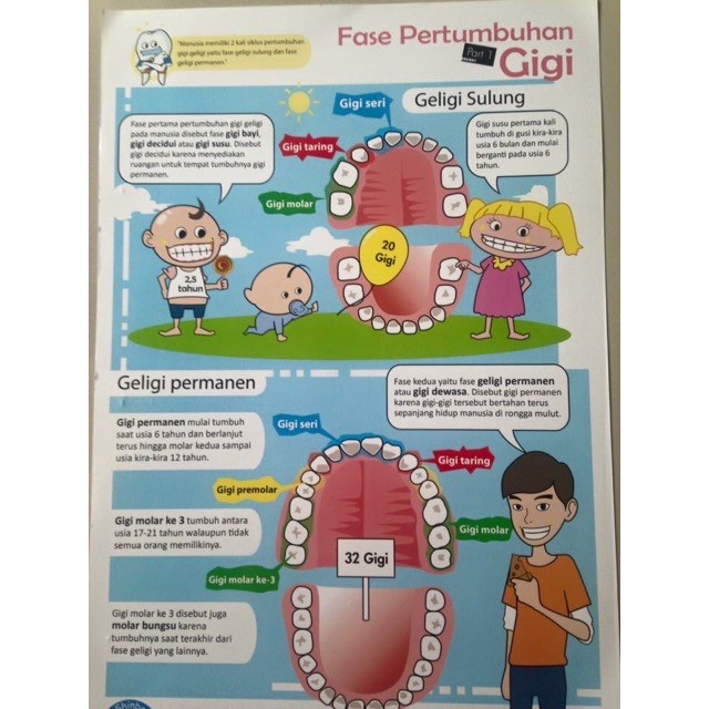 

PAKET POSTER EDUKASI gi. UK A3 (30x42cm) terdiri dari 11 judul