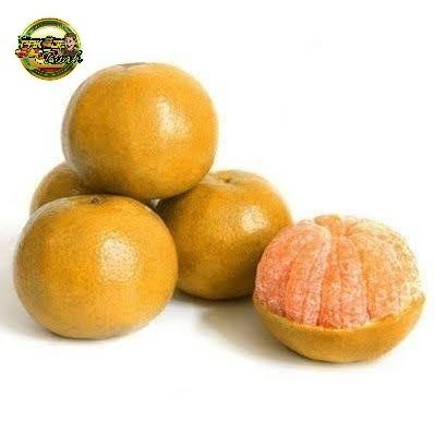 

Promo JERUK MEDAN BRASTAGI MANIS / BUAH FRESH - 1kg Terbaru