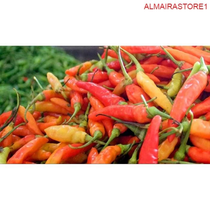 

BnyKBonusBelidiMari- Sayuran Segar Sayur FRESH Cabe / Cabai Rawit Merah 250 Gram - Wfbogor