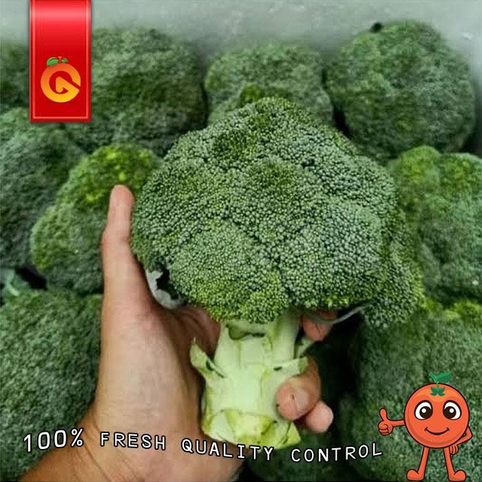 

BnyKBonusBelidiMari- Brokoli Import Fresh