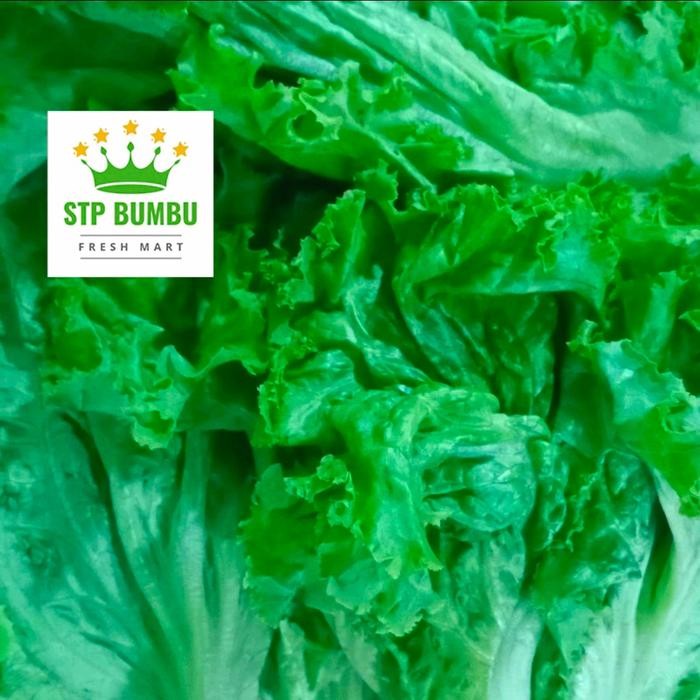 

BnyKBonusBelidiMari- Sayur Selada Keriting Segar Fresh 500gr