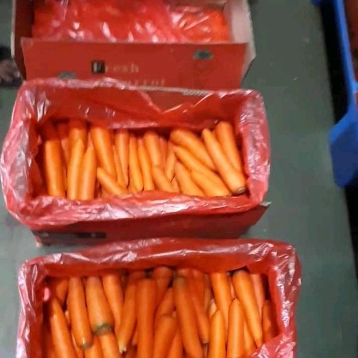 

BnyKBonusBelidiMari- wortel import kualitas super