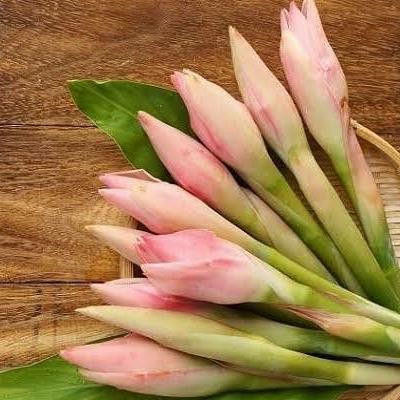 

BnyKBonusBelidiMari- Kecombrang Segar - 250gr