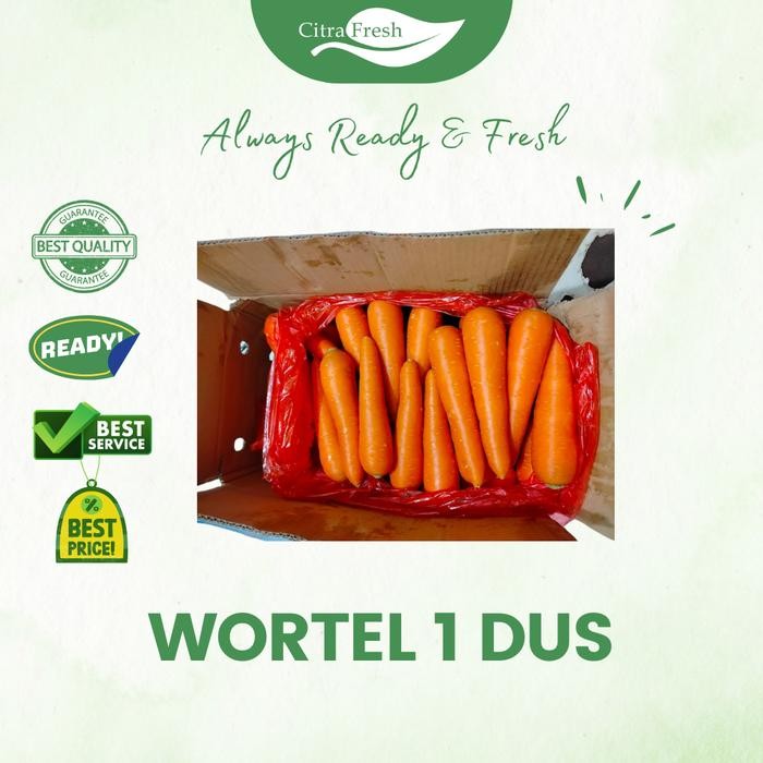 

BnyKBonusBelidiMari- CITRA FRESH Wortel Brastagi 1 Dus - Selalu Ready dan Fresh