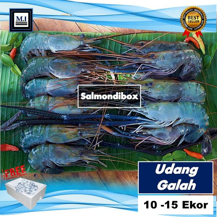 

PastiFreShNya- Fresh Udang Galah Size 10-15 Ekor @60 -100 Gram