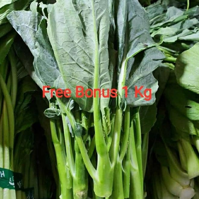 

BnyKBonusBelidiMari- Kailan Baby Kailan Cipanas 1 Kg + Gratis Bonus