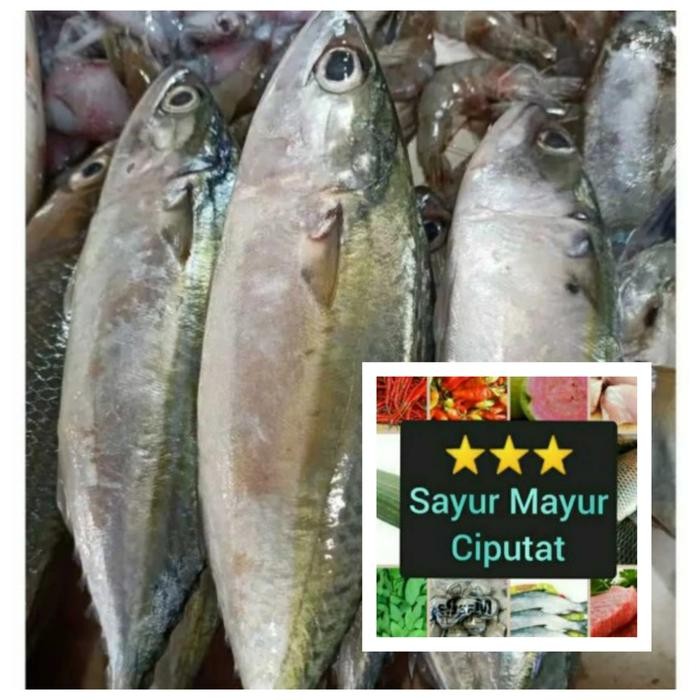 

PastiFreShNya- ikan kembung segar isi 4/5 500gram