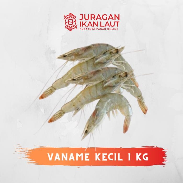 

BnyKBonusBelidiMari- Udang Segar Fresh Berkualitas - 1 Kilo Tipe Udang Vaname/Pancet/Peci