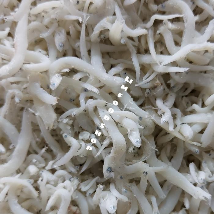 

PastiFreShNya- Ikan Teri Nasi /Teri Medan