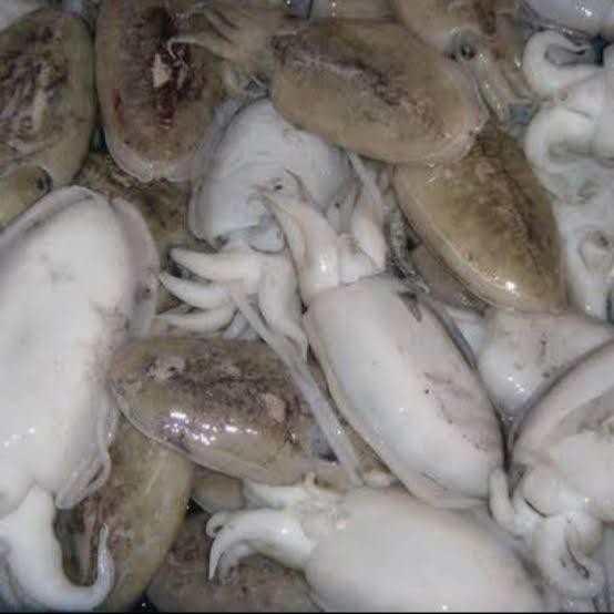 

PastiFreShNya- Cumi Sotong Segar Berkualitas - 500 Gram