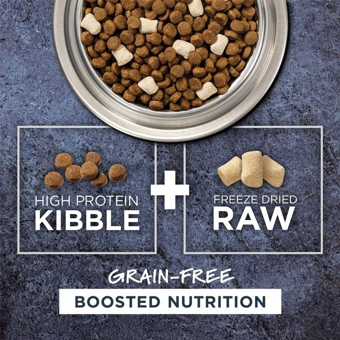 Instinct Raw Boost Grain-Free with Real Salmon Recipe Dry Dog Food