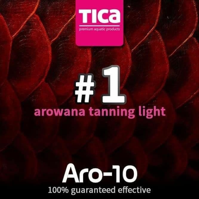 Lampu tanning arwana (TICA ARO 10 ) IMPORT 13.000 kelvin (92 cm )