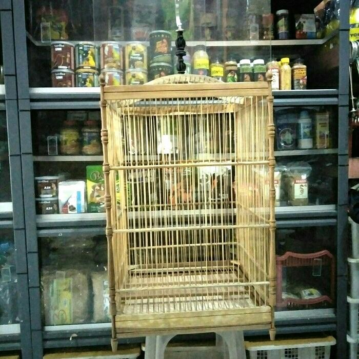 Amour Petshop Sangkar Kotak Mentahan No.1 (/ )