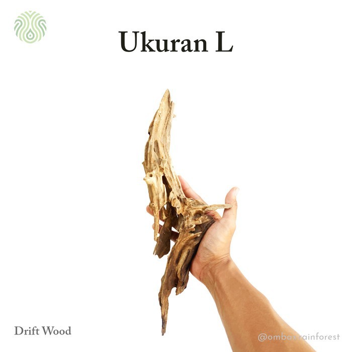 (Expert) Drift woon / kayu rentek - kayu jati / Aquascape, Vivarium, & Paludarium