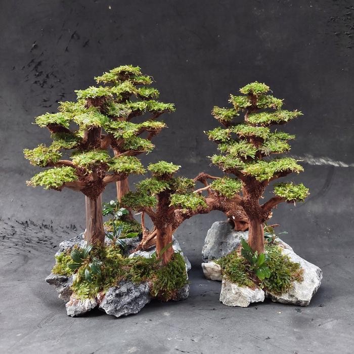 PREMIUM Hardscape Aquascape Bonsai Hutan Pinus