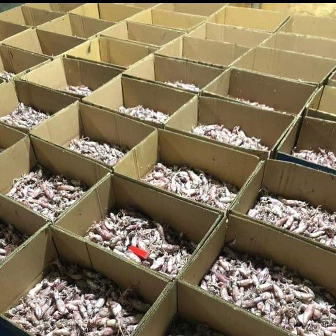 

Terlaris- Cumi Beby Asin Fresh - 1Kg Khr