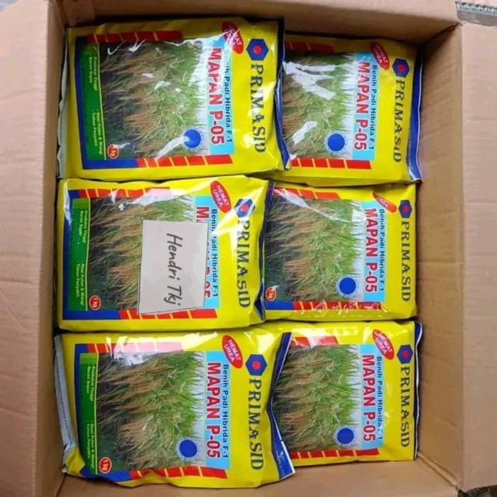 (Expert) benih padi mapan 05