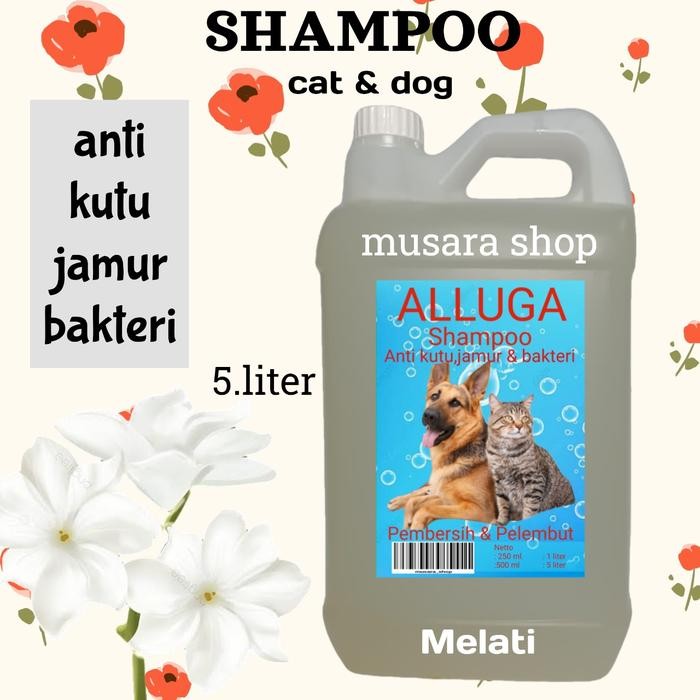 shampo kucing anjing anti kutu dan rontok melati 5 liter