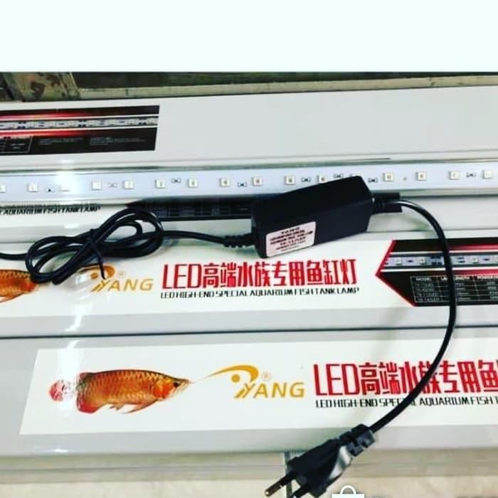 PREMIUM YANG lampu HARD TANNING arwana T8-142 (142cm) Merah