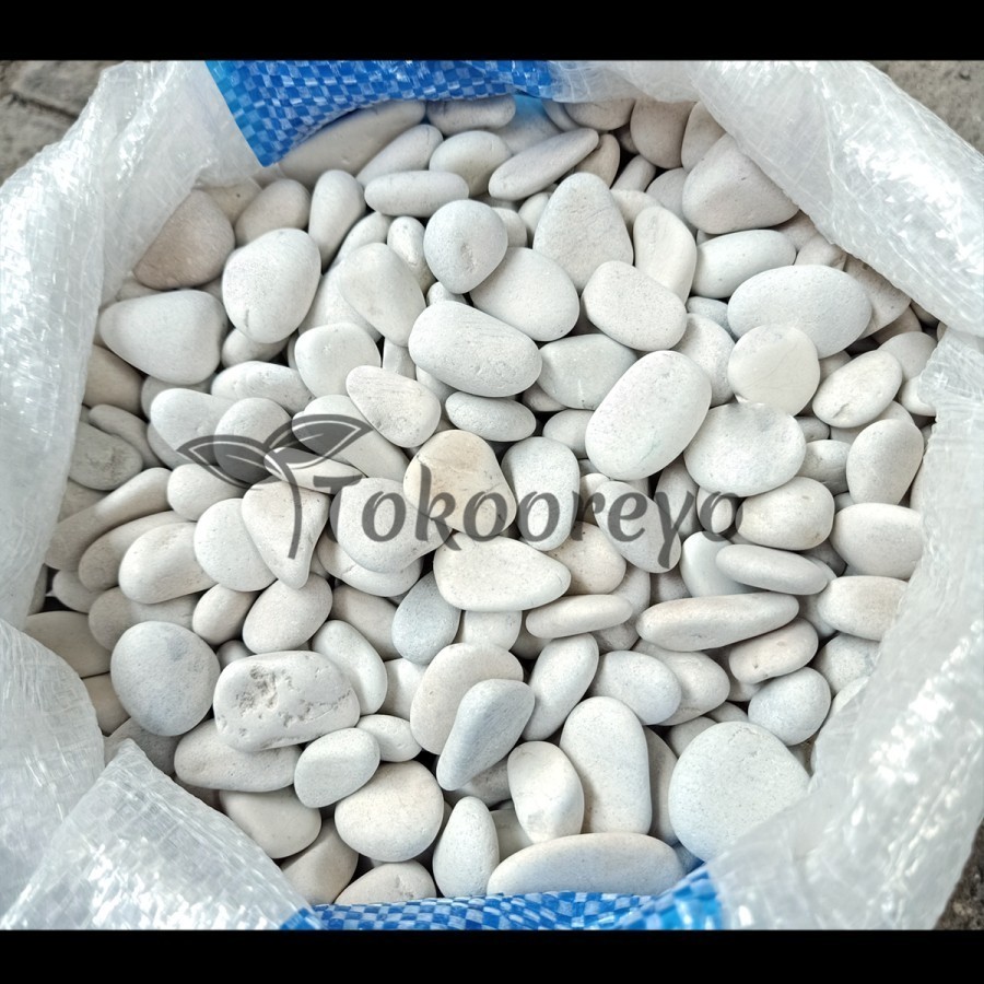 BATU KORAL PUTIH KECIL - HIASAN TAMAN BATU MAKAM VIA GOSEND GRAB