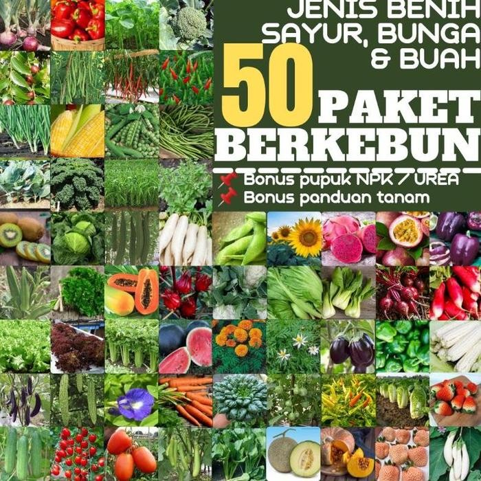 Paket 50 Jenis benih bibit biji sayur dan buah