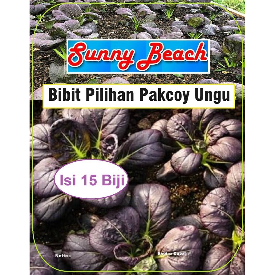 Bibit Pilihan Pakcoy Ungu Biji Benih Pakcoy Ungu Biji Bibit Sayur Pakcoy Ungu