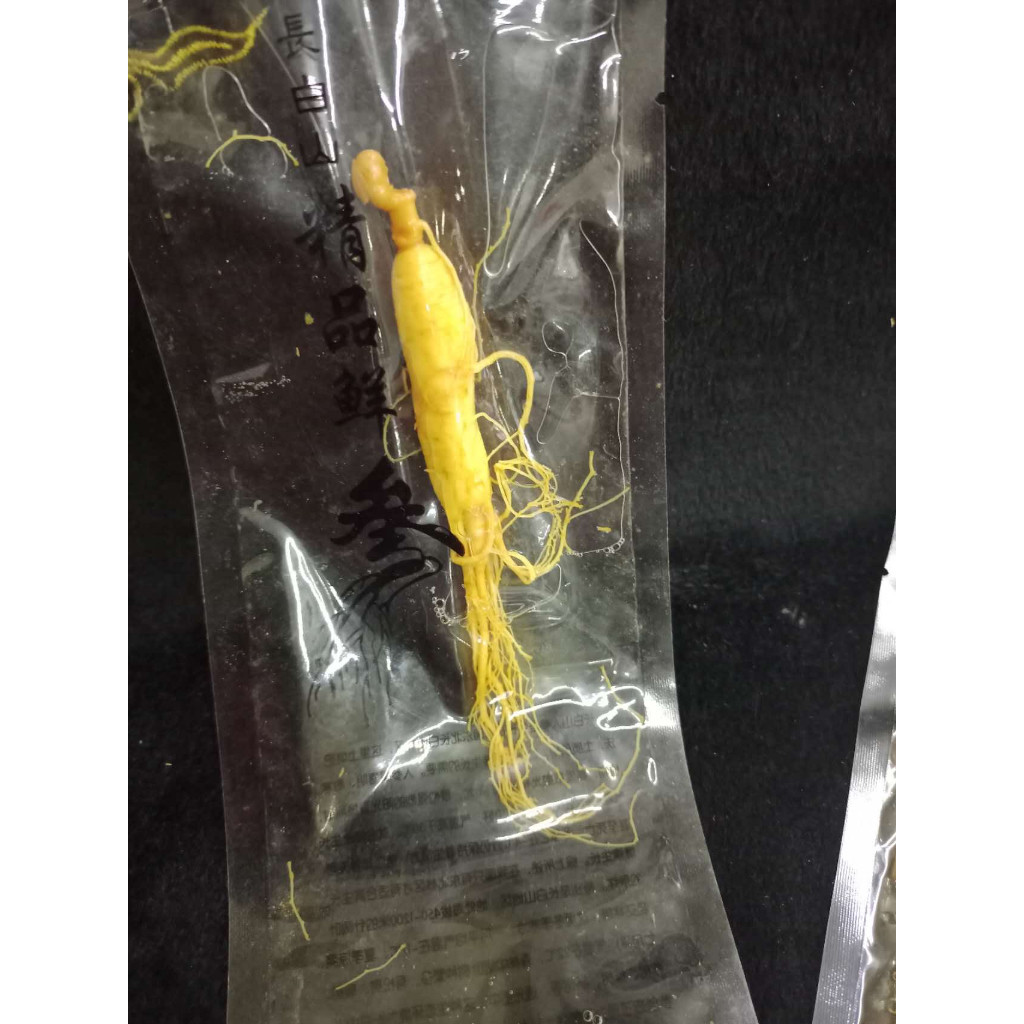 

FRESH GINSENG / GINSENG BASAH / GINSENG SEGAR KECIL