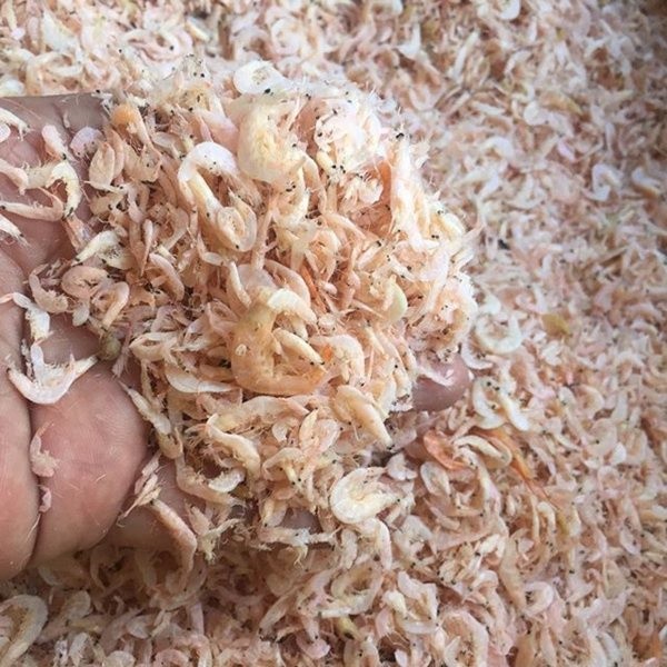 

[DAPUR EXPRESS] Udang rebon asin 100gr