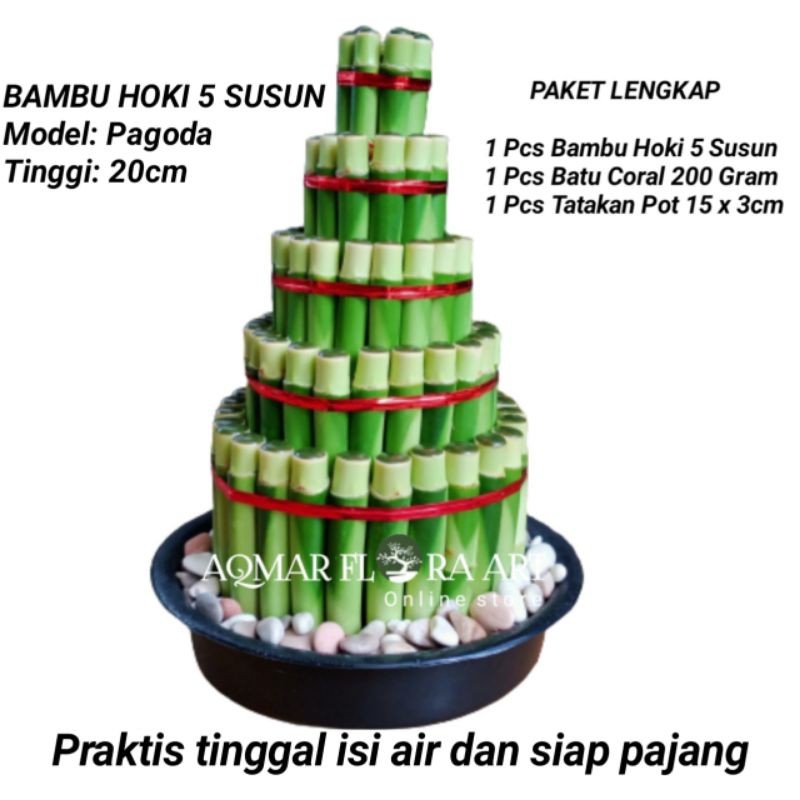 PAKET LENGKAP BAMBU HOKI 5 SUSUN LUCKY BAMBOO