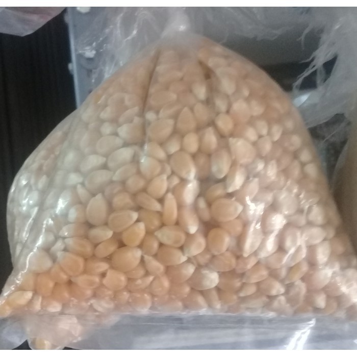 

Jagung popcorn 250 gr