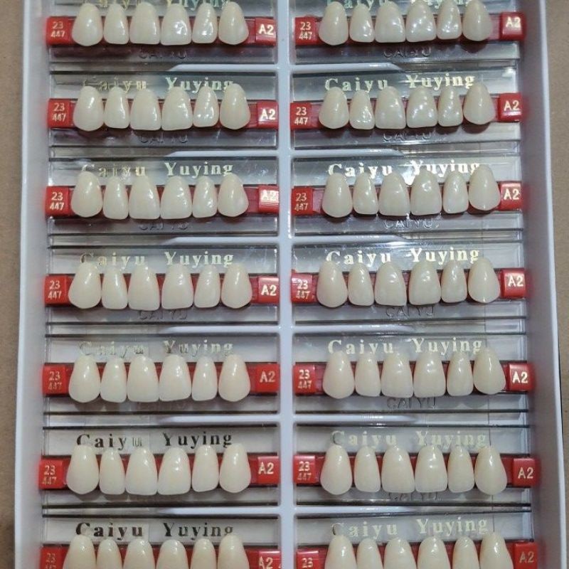 gigi palsu caiyu/box a2